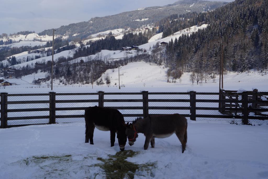 Villa Bio-Bauernhof Reiterhof à Sankt Johann im Pongau Extérieur photo